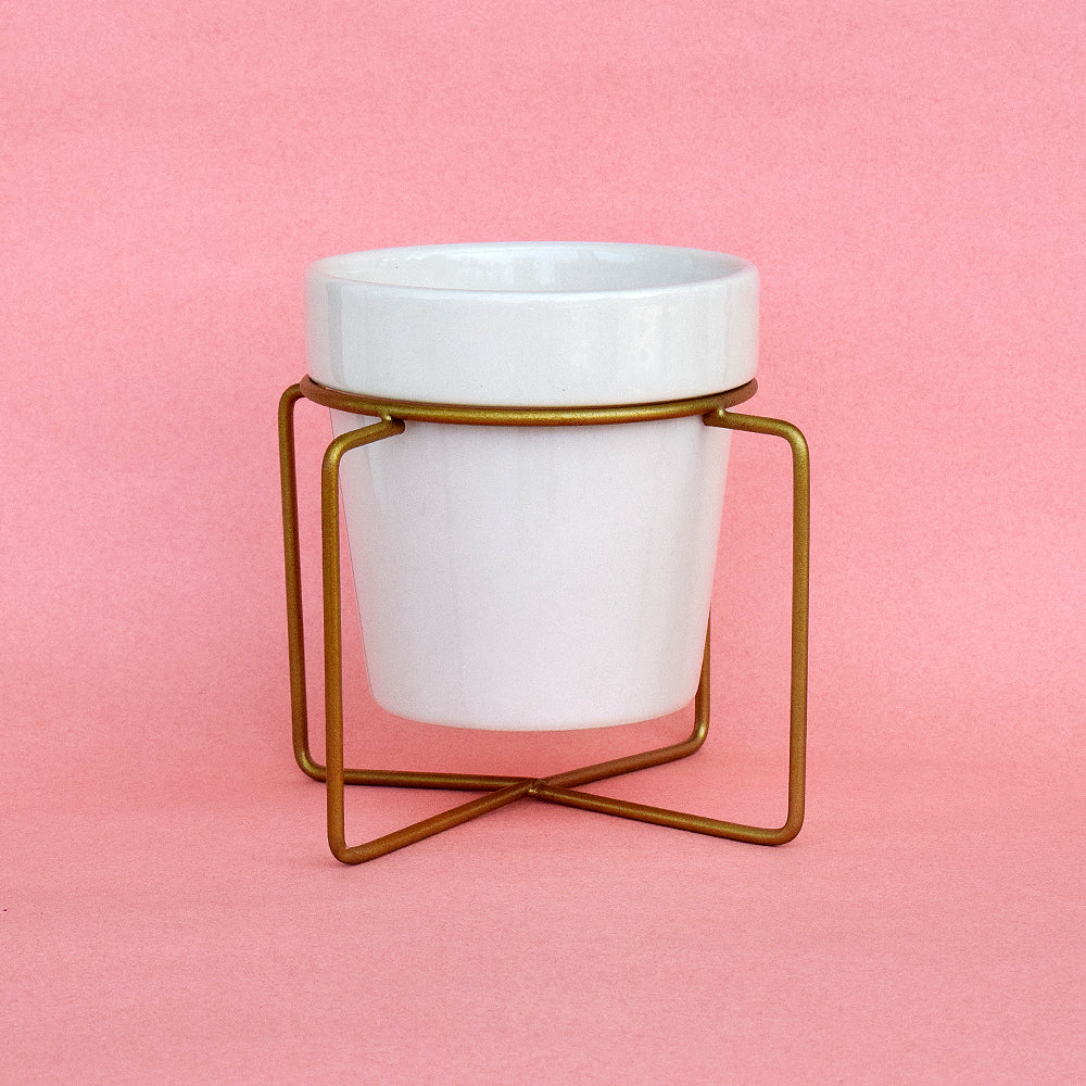 Earthy White Planter With Voguish Gold Stand