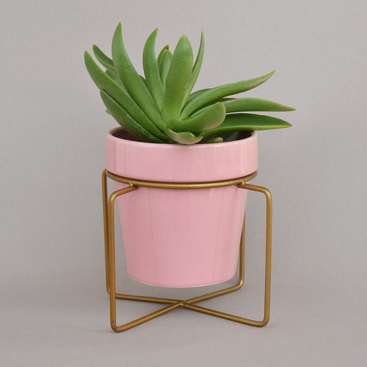 Pretty Peachy Pink Planter With Voguish Gold Stand