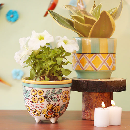 Bright Diamond Planter Gift Combo- Set of 2