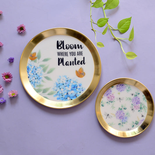 Bigleaf Hydrangeas Wall Plate